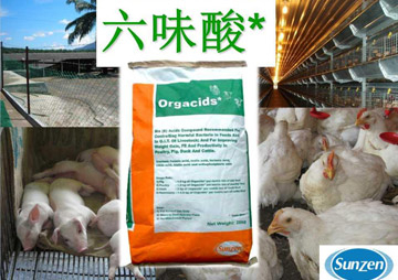 六味酸的成分结构