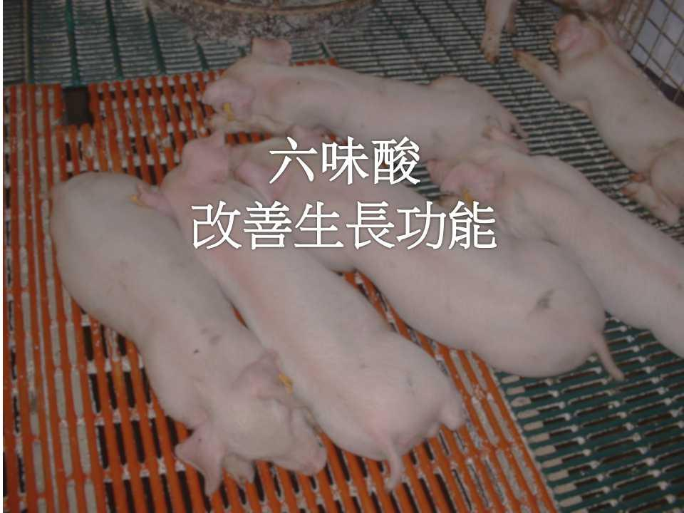 六味酸改善生长功能